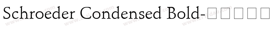 Schroeder Condensed Bold字体转换